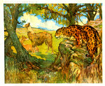 Poster  Panthere and Oran Outang  The Wild  Annimals  Henty  Baudot Circa 1900