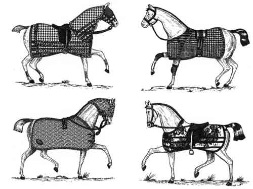 DKKO-chevaux