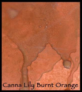 Canna Lily Burnt Orange - Lindy's Magical Powder