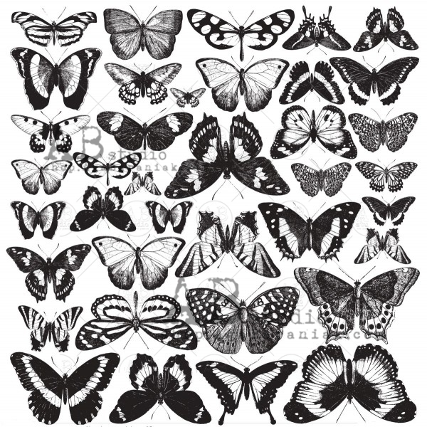 Die-cuts "White Butterfly" #51 - Abstudio