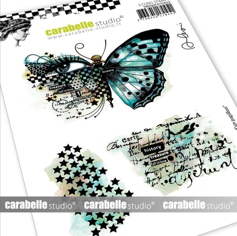 Cling Stamp A6: L'Histoire d'un Papillon - Carabelle Studio