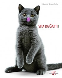Vita_da_gatti