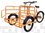 TITAN 170 Cargo Tricycle