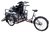 Cargo Bike for Transport People Disabled on wheelchair