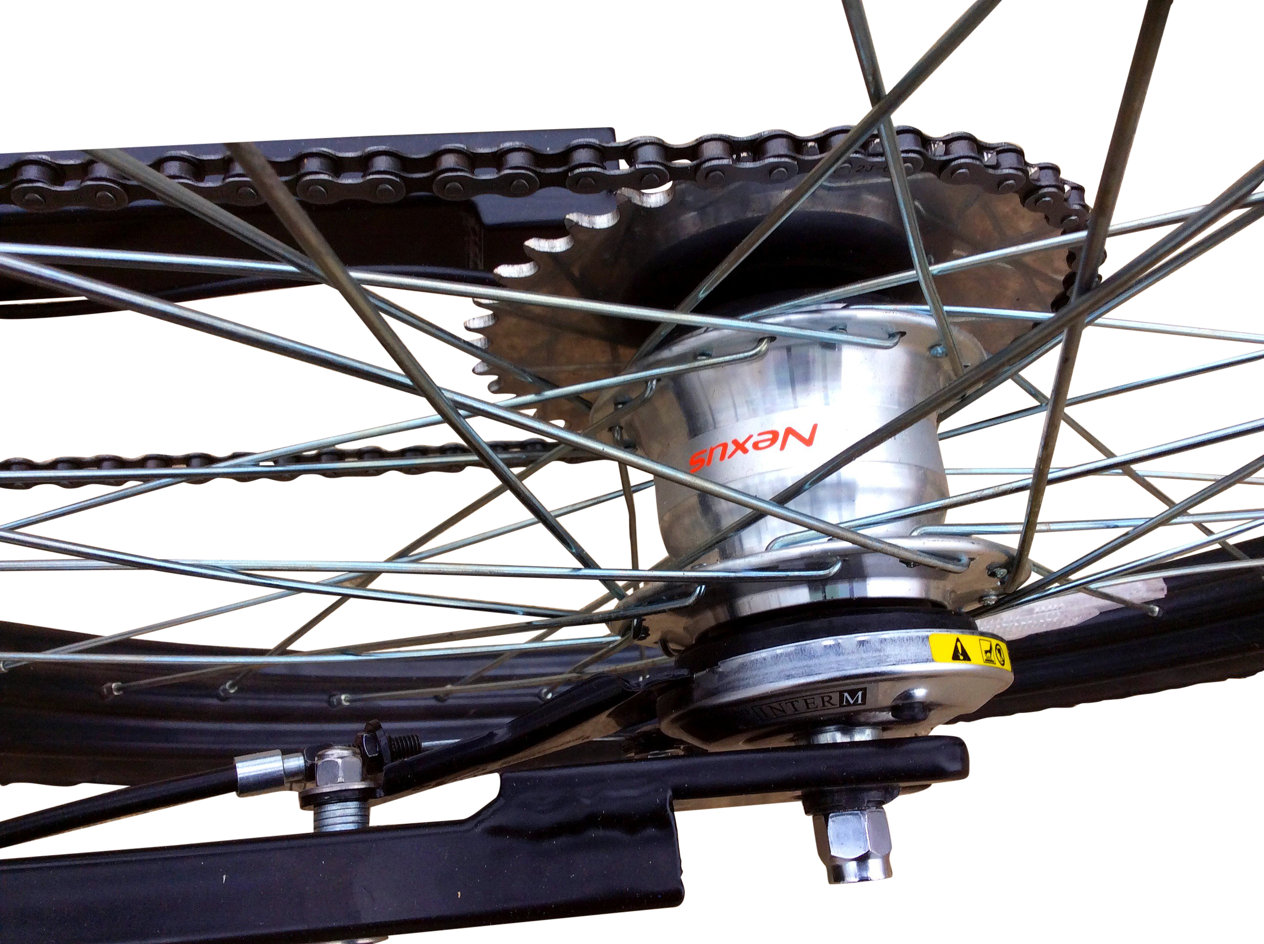 Triciclo_Cargo_Bike_modello_ATTILA_5