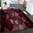 Tappeto Passatoia  Salotto Cucina Bagno Lavabile Antiscivolo Moderno Quadrato Bordeaux - MOD5093