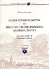 Guida storico-alpina di Belluno Feltre Primiero Agordo Zoldo