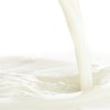 Malted Milk (Conc) - 15ml