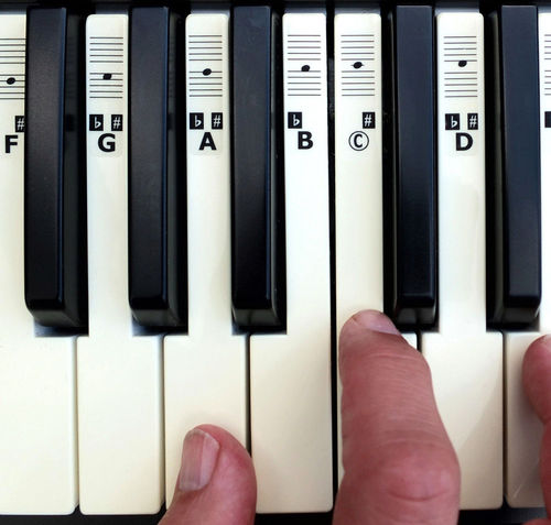Autocolantes para teclas piano com nome das notas para 49, 54 ou 61-Teclas