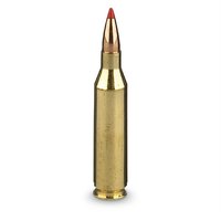 .300 Winchester Magnum