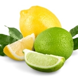 Lemon Lime II - 15ml