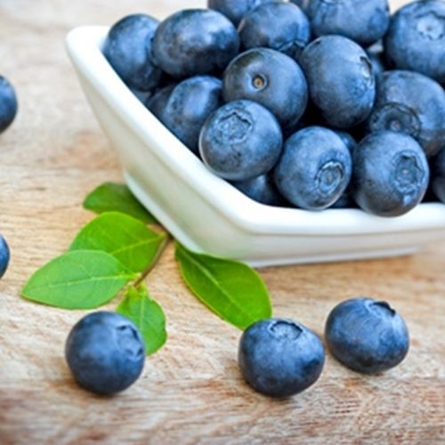 Blueberry Wild Flavor - 15ml