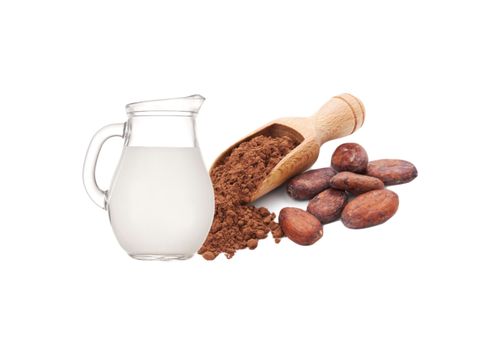 Concentrate Cocoa Milk - 10ml
