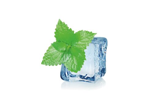 Flavour Ice Mint - 10ml