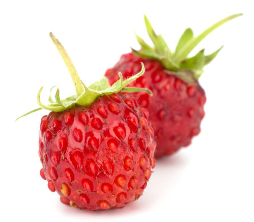 Flavour Wild strawberry - 10ml