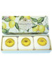 Lemon & Mandarin - Gift Boxed Hand Soaps 3 x 100gr